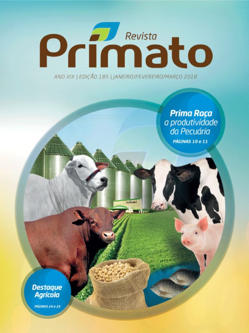 A Produtividade da Pecuária 